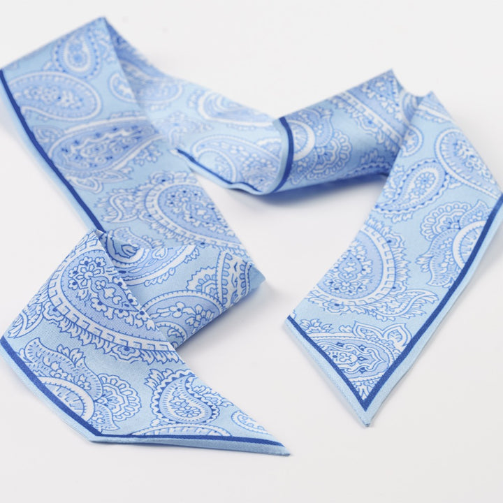 Blue Paisley Skinny Silk Scarf