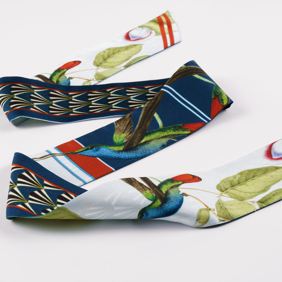 The Hummingbird by William Swainson Skinny Silk Scarf